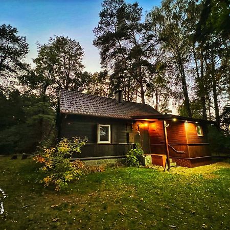 Ranczo Wilkowyja Villa Wilkowyja  Екстериор снимка
