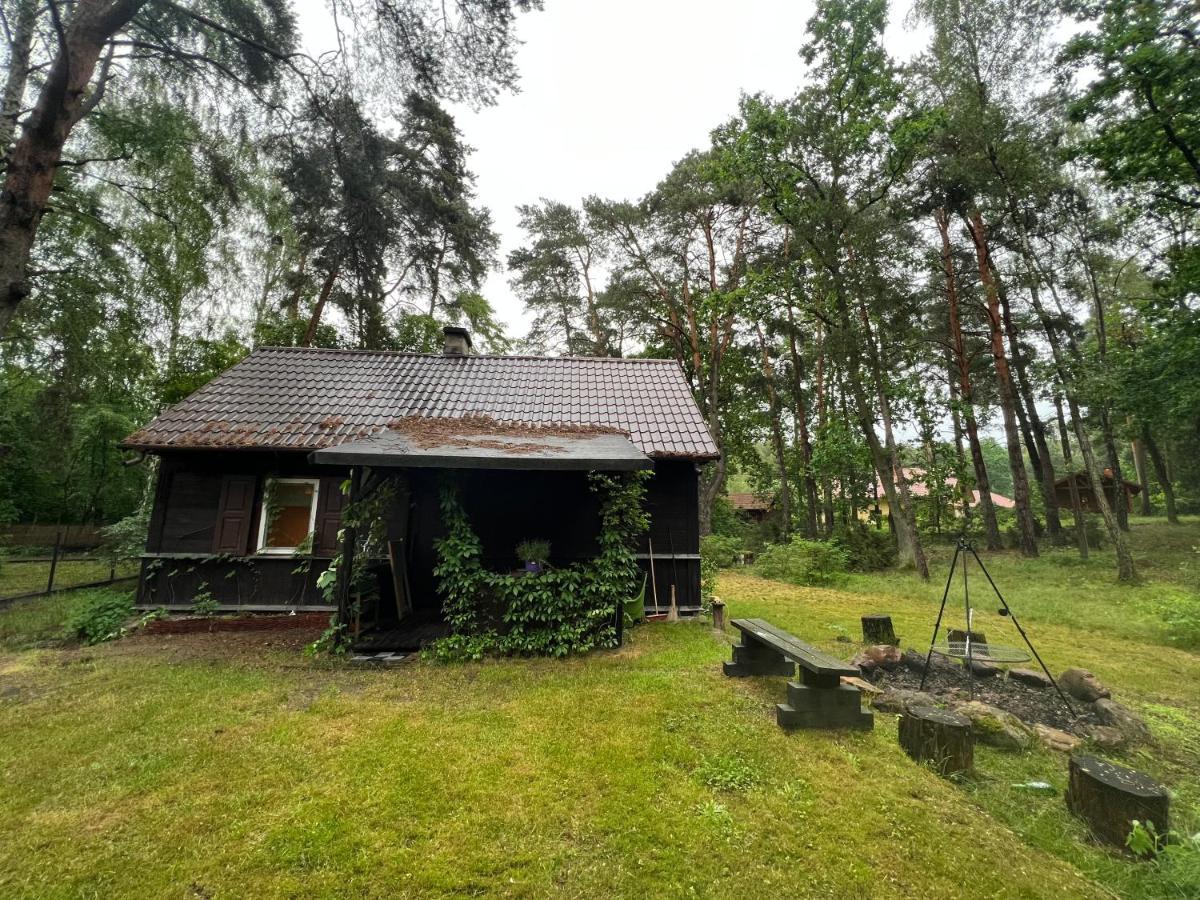 Ranczo Wilkowyja Villa Wilkowyja  Екстериор снимка