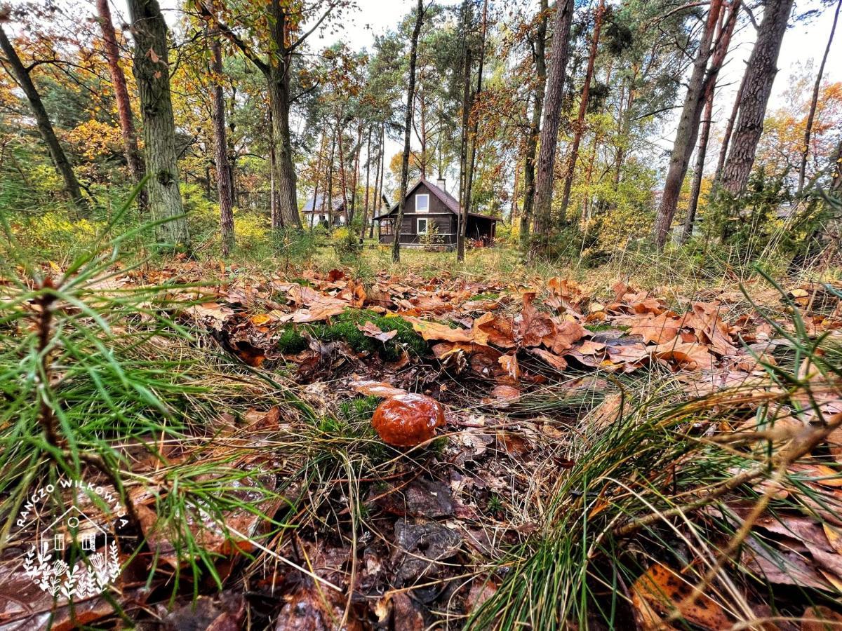 Ranczo Wilkowyja Villa Wilkowyja  Екстериор снимка